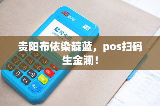 贵阳布依染靛蓝，pos扫码生金澜！
