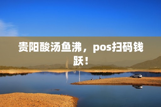 贵阳酸汤鱼沸，pos扫码钱跃！
