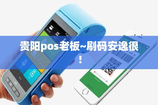 贵阳pos老板~刷码安逸很！