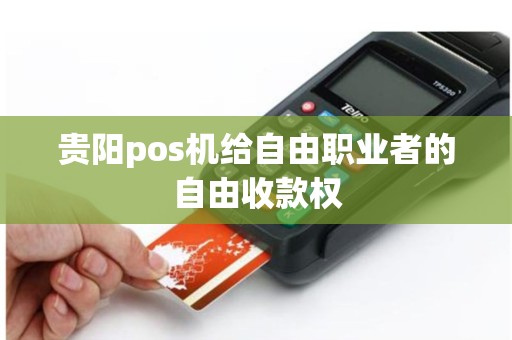 贵阳pos机给自由职业者的自由收款权