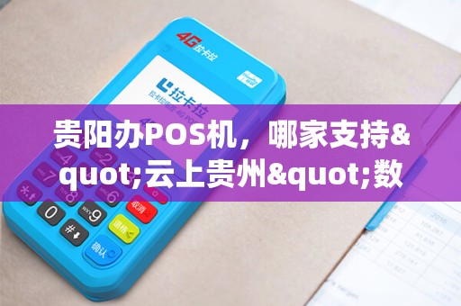 贵阳办POS机，哪家支持"云上贵州"数据对接？