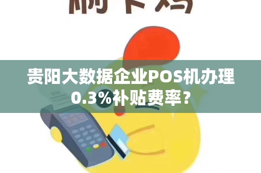 贵阳大数据企业POS机办理0.3%补贴费率？