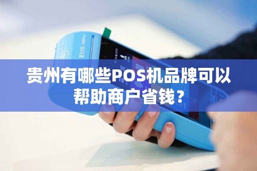 贵州有哪些POS机品牌可以帮助商户省钱?