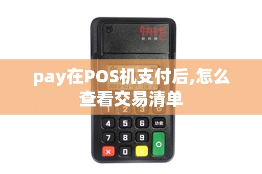 pay在POS机支付后,怎么查看交易清单