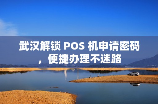 武汉解锁 POS 机申请密码，便捷办理不迷路