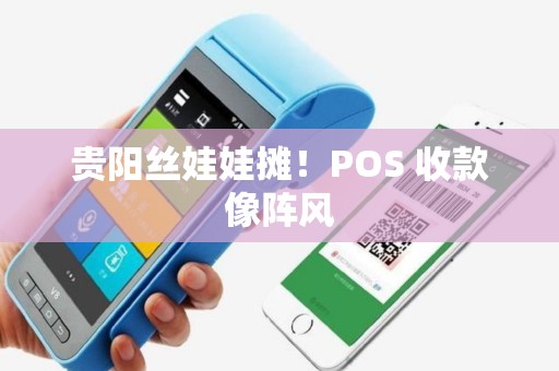 贵阳丝娃娃摊！POS 收款像阵风
