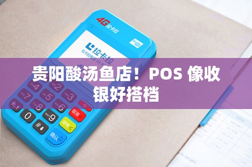 贵阳酸汤鱼店！POS 像收银好搭档