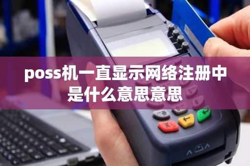 poss机一直显示网络注册中是什么意思意思