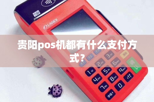贵阳pos机都有什么支付方式？