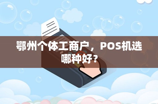 鄂州个体工商户，POS机选哪种好？