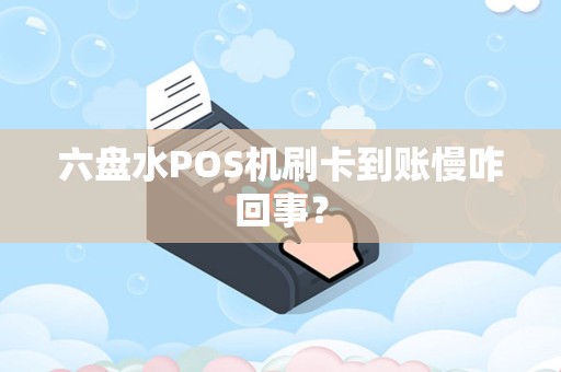 六盘水POS机刷卡到账慢咋回事？