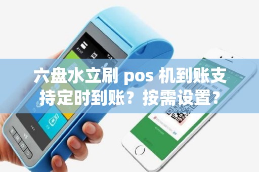 六盘水立刷 pos 机到账支持定时到账？按需设置？