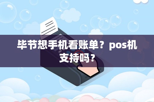 毕节想手机看账单？pos机支持吗？