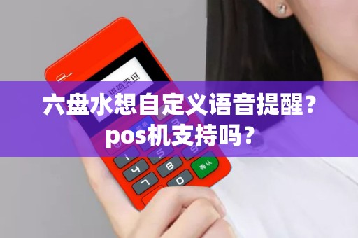 六盘水想自定义语音提醒？pos机支持吗？