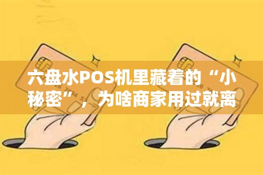 六盘水POS机里藏着的“小秘密”，为啥商家用过就离不开？