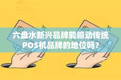 六盘水新兴品牌能撼动传统POS机品牌的地位吗？