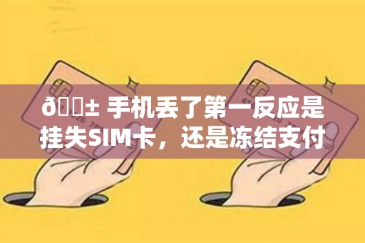 📱 手机丢了第一反应是挂失SIM卡，还是冻结支付账户？