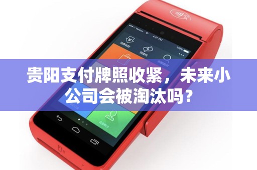 贵阳支付牌照收紧，未来小公司会被淘汰吗？