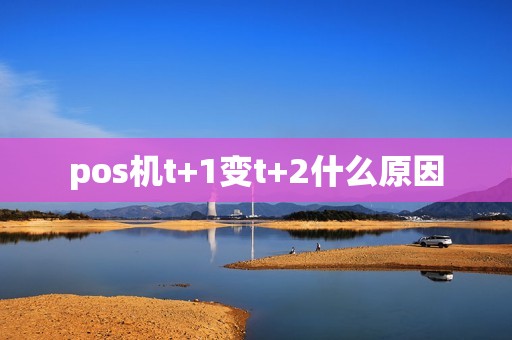 pos机t+1变t+2什么原因
