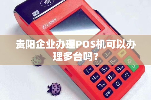 贵阳企业办理POS机可以办理多台吗？