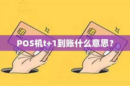 POS机t+1到账什么意思？