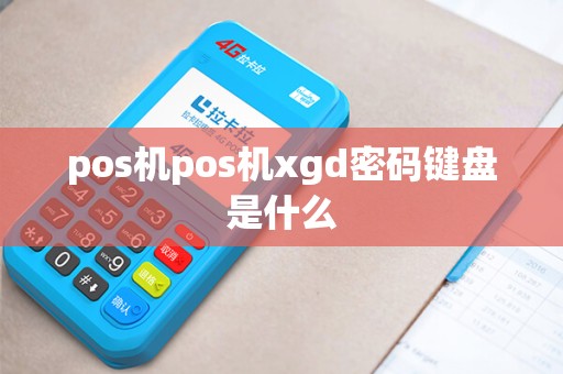pos机pos机xgd密码键盘是什么