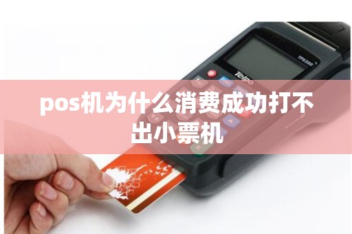 pos机为什么消费成功打不出小票机