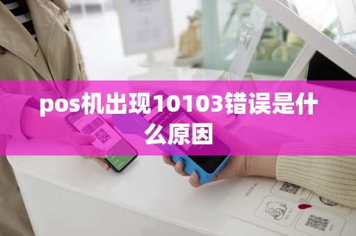 pos机出现10103错误是什么原因