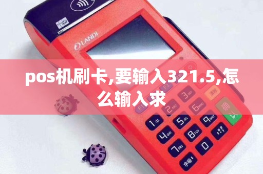 pos机刷卡,要输入321.5,怎么输入求