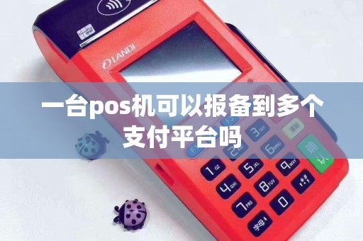 一台pos机可以报备到多个支付平台吗