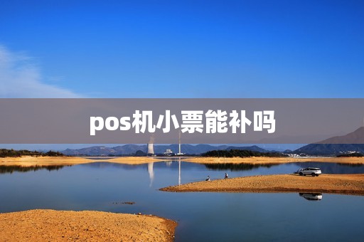 pos机小票能补吗