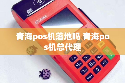 青海pos机落地吗 青海pos机总代理