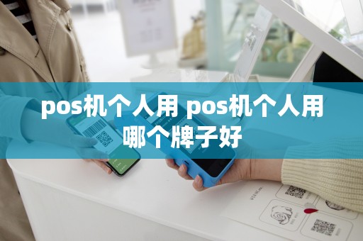 pos机个人用 pos机个人用哪个牌子好